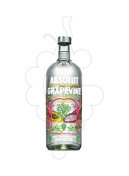 Foto Vodka Absolut Grapevine