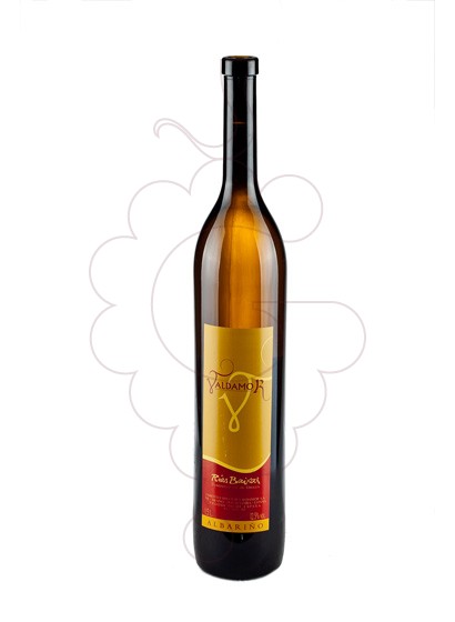 Foto Albariño Valdamor Magnum vino blanco
