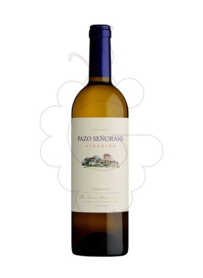 Foto Albariño Pazo Señorans Magnum vino blanco