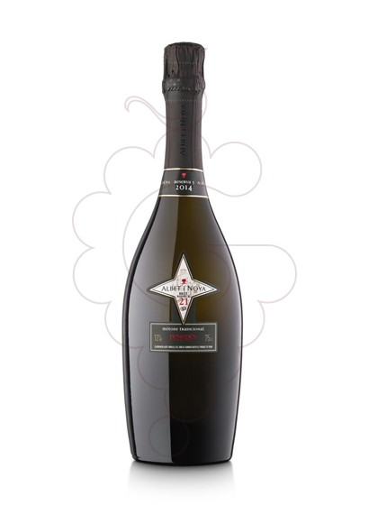 Foto Albet i Noya Brut Reserva 21 Barrica vino espumoso