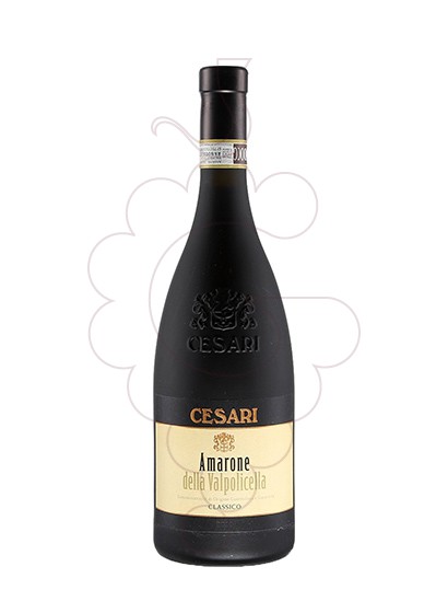 Foto Cesari Amarone della Valpolicella vino tinto