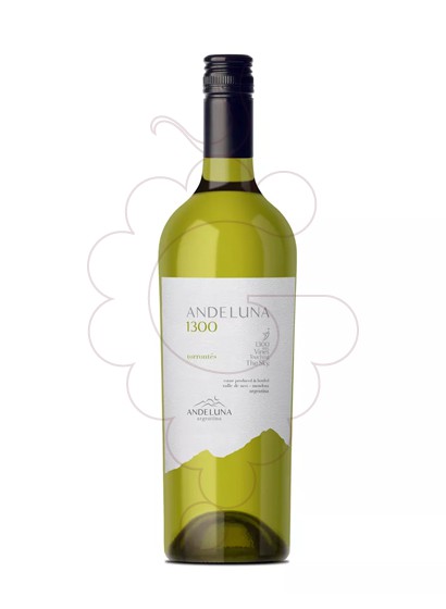 Foto Andeluna 1300 Torrontés vino blanco