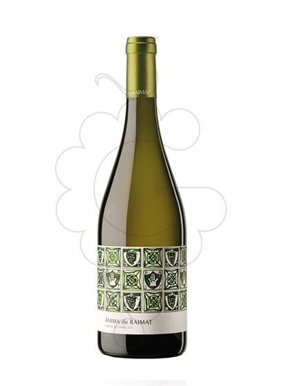 Foto Ànima de Raimat Blanco Magnum vino blanco