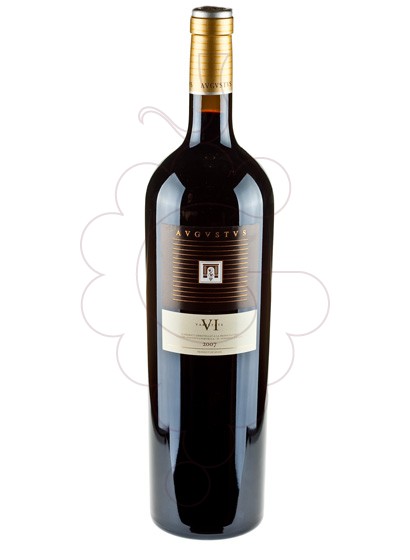 Foto Augustus 6 varietats Magnum vino tinto