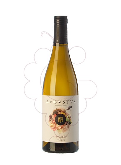 Foto Augustus Macabeu vino blanco