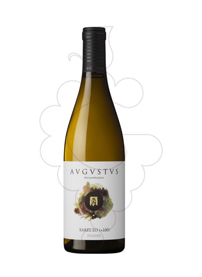 Foto Augustus Xarel.lo + 100 vino blanco