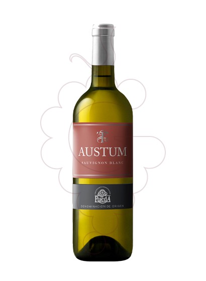 Foto Austum Sauvignon Blanc vino blanco