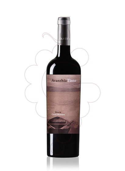 Foto Avancia Cuvee Mosteiro vino tinto