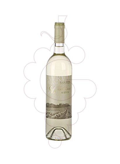 Foto Avrvm Blanc vino blanco