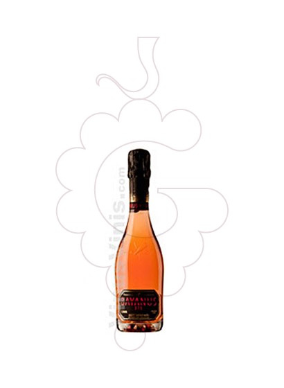 Foto Bayanus 375 Rose vino espumoso