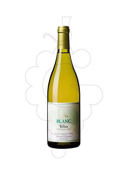 Foto Blanc del Terrer vino blanco