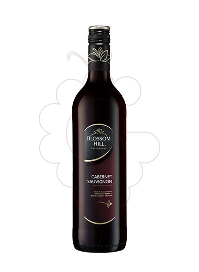 Foto Blossom Hill Cabernet (California) vino tinto