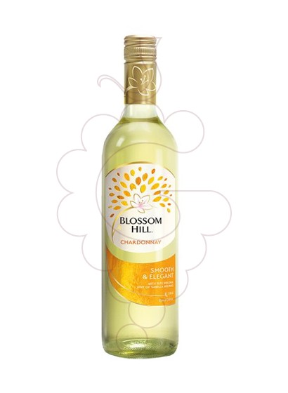 Foto Blossom Hill Chardonnay (California) vino blanco