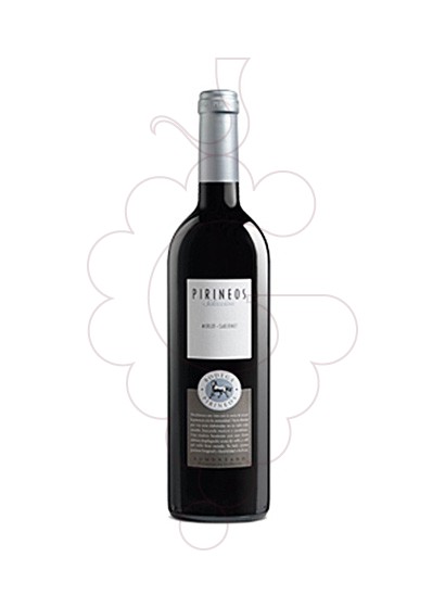 Foto Bodega Pirineos Merlot Cabernet vino tinto
