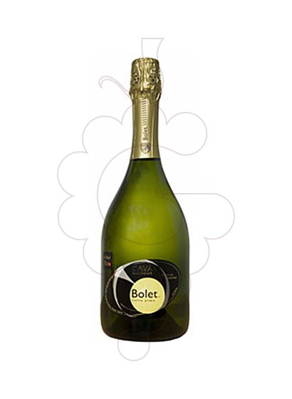 Foto Bolet Brut Nature Selecció Familiar vino espumoso