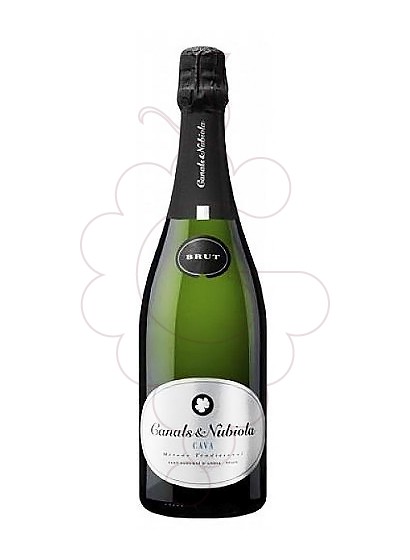 Foto Canals Nubiola Plata Brut vino espumoso