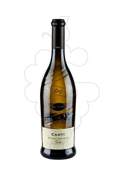 Foto Canti Pinot Grigio Veneto vino blanco