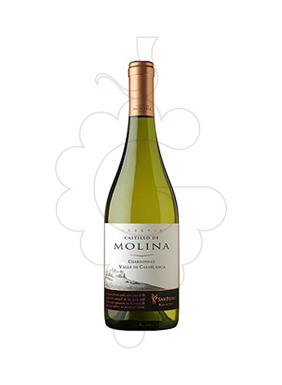 Foto Castillo de Molina Chardonnay vino blanco