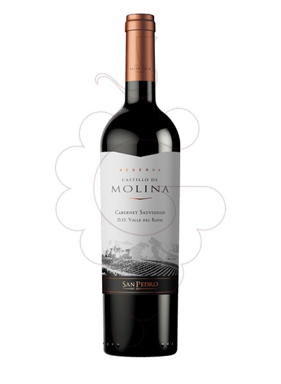 Foto Castillo de Molina Reserva vino tinto