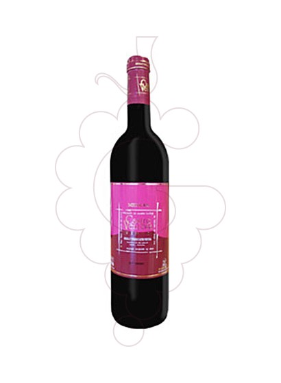 Foto Castro Ventosa vino tinto