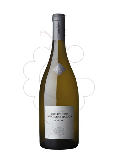 Foto Chateau Fontaine-Audon Sancerre vino blanco