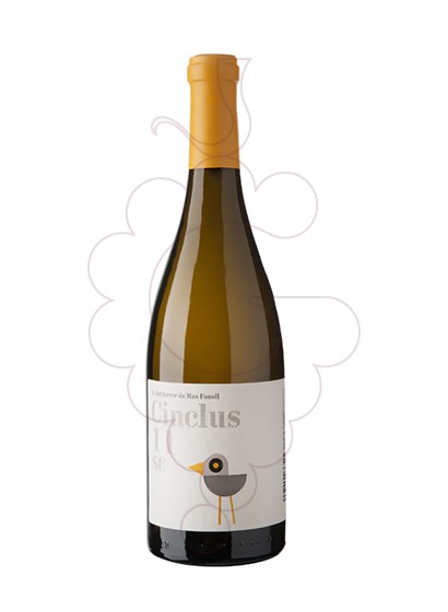 Foto Cinclus vino blanco