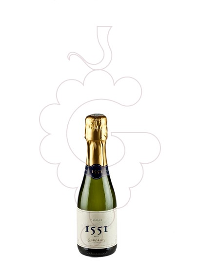 Foto Codorniu 1551 Benjamín vino espumoso