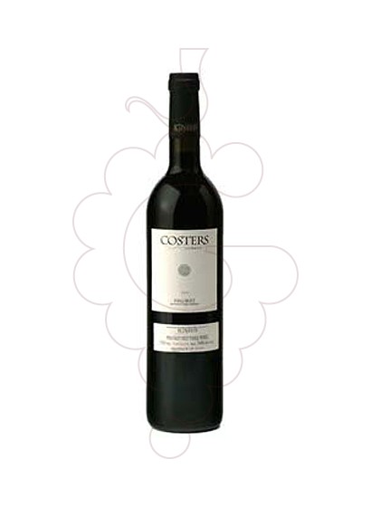 Foto Mas Igneus Coster de l'Ermita vino tinto