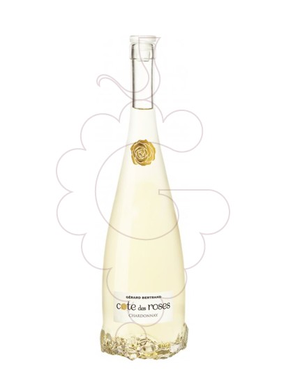 Foto G.Bertrand Cote des Roses Chardonnay vino blanco