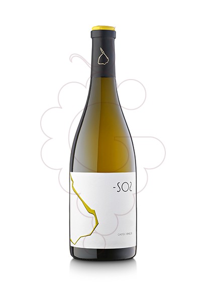 Foto -SO2 vino blanco