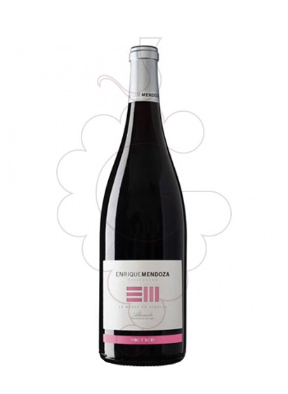 Foto Enrique Mendoza Pinot Noir vino tinto