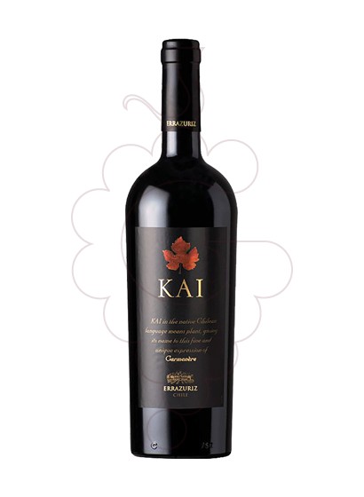 Foto Errazúriz Kai vino tinto