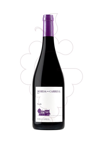 Foto Finca Caiz Carrizal Syrah vino tinto