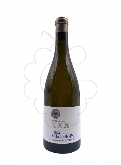 Foto Finca Viladellops Blanc vino blanco