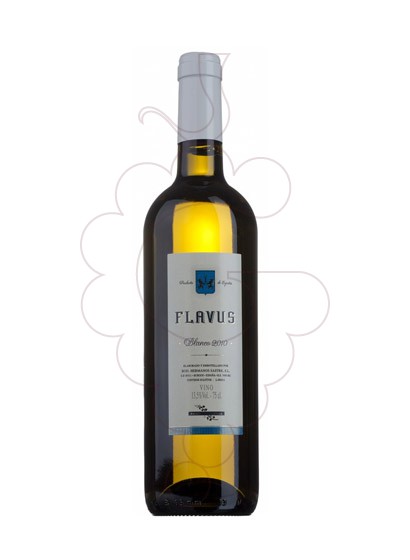 Foto Flavus Blanc vino blanco