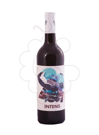 Foto Gelamà Intens vino tinto