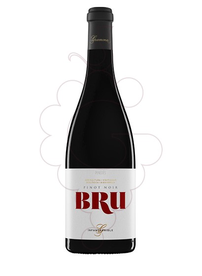 Foto Gramona Bru vino tinto