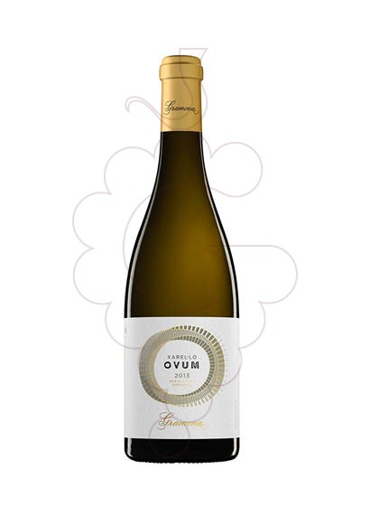 Foto Gramona Ovum vino blanco