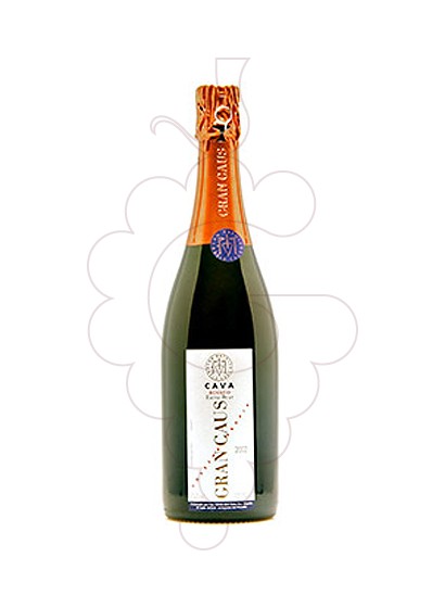 Foto Gran Caus Rosat Brut Nature vino espumoso