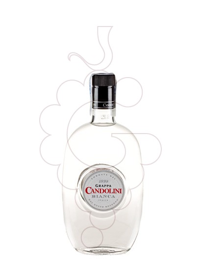 Foto Grappa Grappa Candolini Bianca