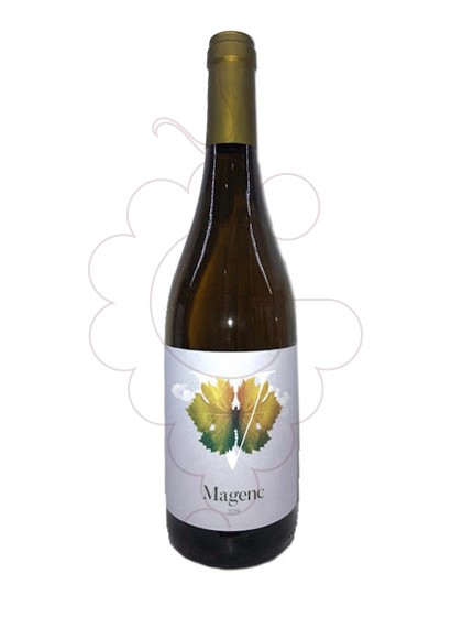 Foto Magenc vino blanco