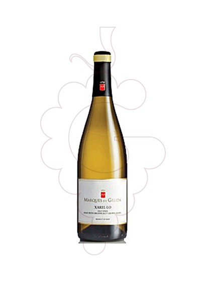 Foto Marques de Gelida Xarel·lo vino blanco
