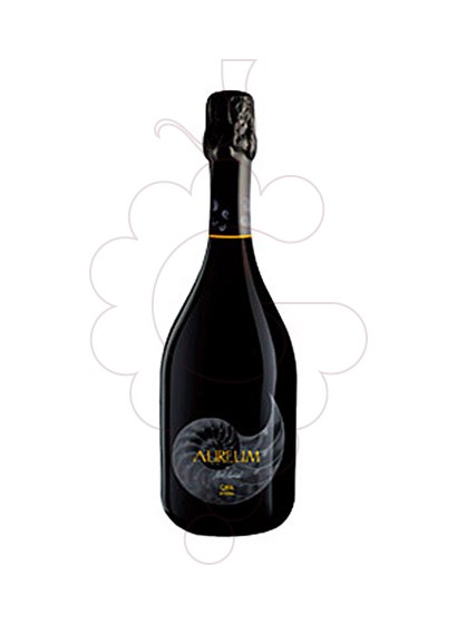 Foto Mont-Marçal Aureum Reserva vino espumoso