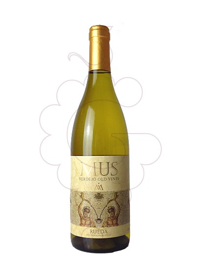 Foto Mus vino blanco