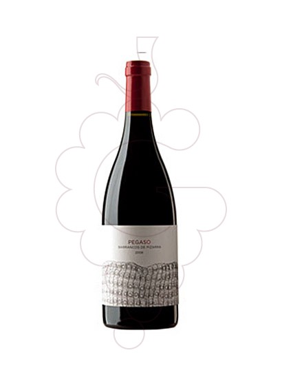 Foto Pegaso Barrancos de Pizarra vino tinto