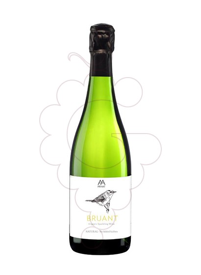 Foto Privat Bruant Brut Nature vino espumoso