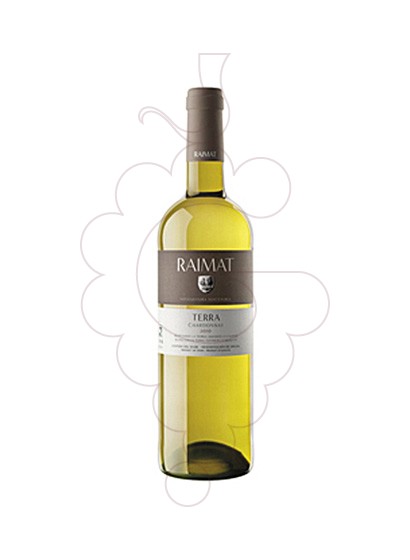 Foto Raimat Terra Chardonay vino blanco