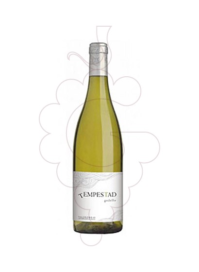 Foto Tempestad Godello vino blanco