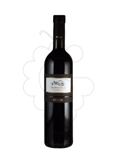 Foto Cesari Valpolicella Classico vino tinto