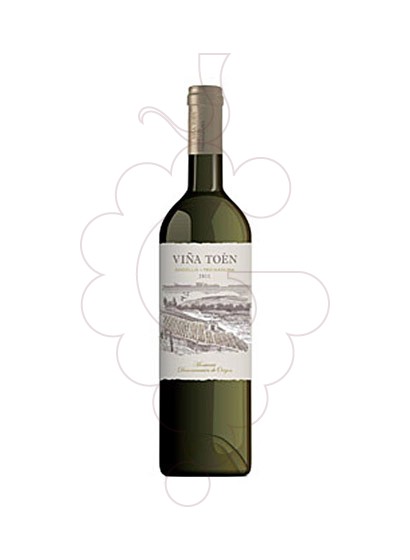 Foto Viña Toén vino blanco